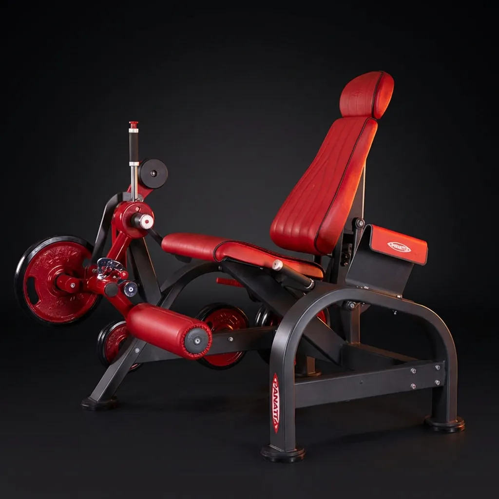 Panatta reisiojennuslaite FW